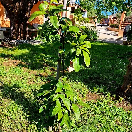Πανσιόν E-m With Private Pool 3*