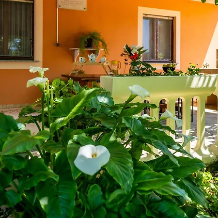 E-m With Private Pool Πανσιόν 3*