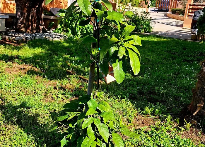 Gostinjska kuća E-m With Private Pool 3*