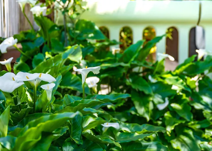 Gostinjska kuća E-m With Private Pool Vinkuran