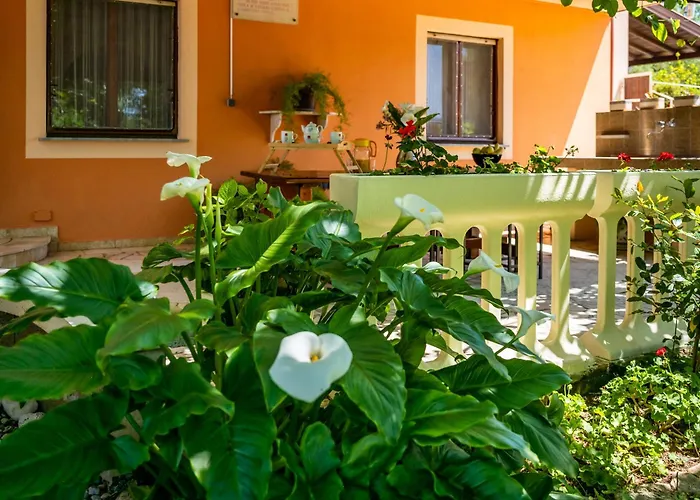 E-m With Private Pool Gostinjska kuća 3*