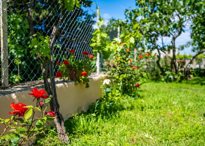 Gostinjska kuća E-m With Private Pool 3*