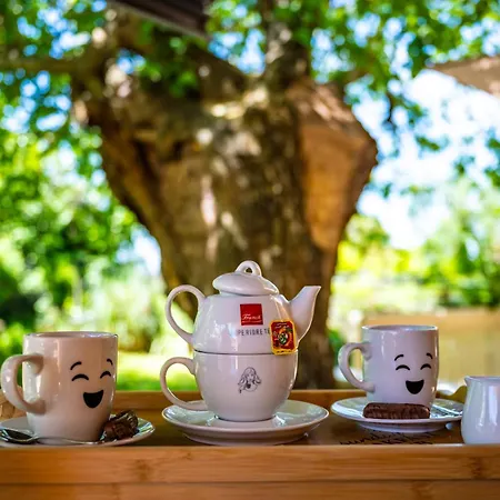 E-m With Private Pool Vinkuran