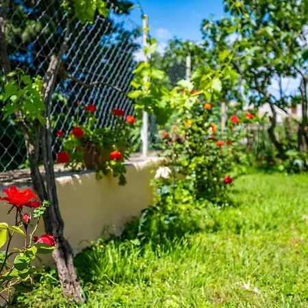 Konukevi E-m With Private Pool 3*